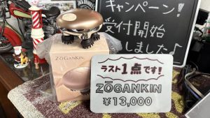 ZOGANKIN